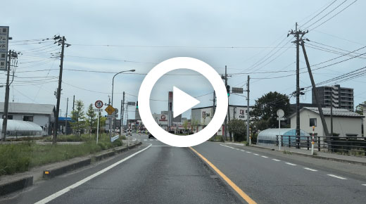 動画を再生する